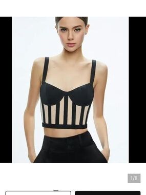 Alice + Olivia Black and Nude Striped Bustier Top